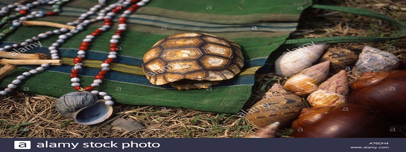 turtle-shell-mollusks-and-other-animal-parts-for-sale-by-local-people-A76DH4