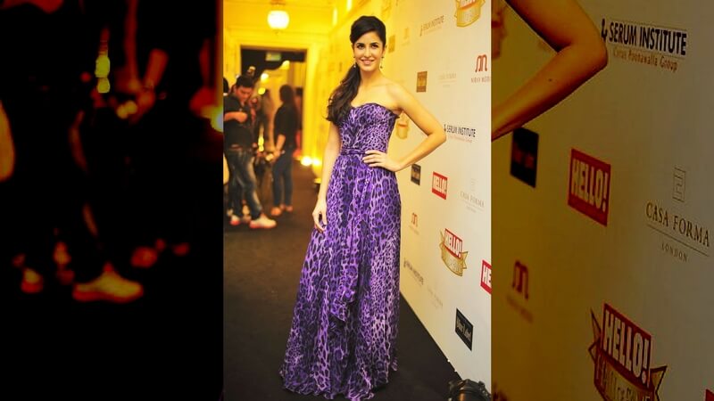 Gorgeous Dress Katrina Kaif