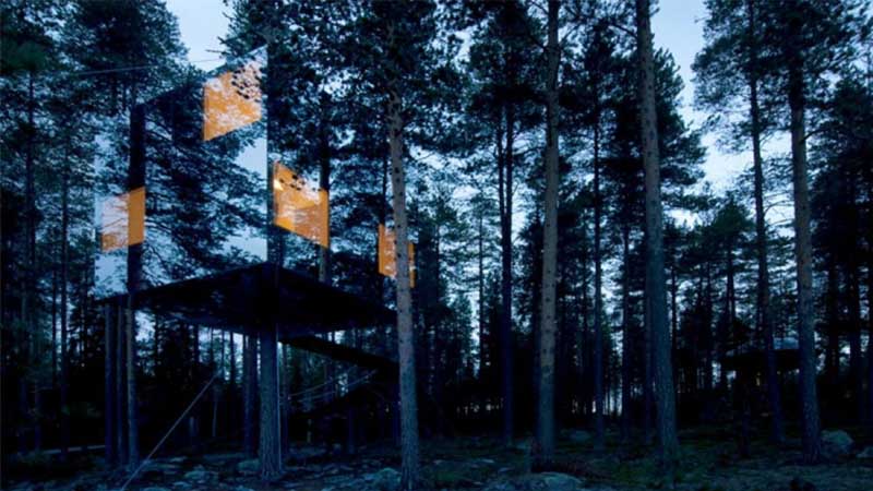 Tree Houses Around The World
