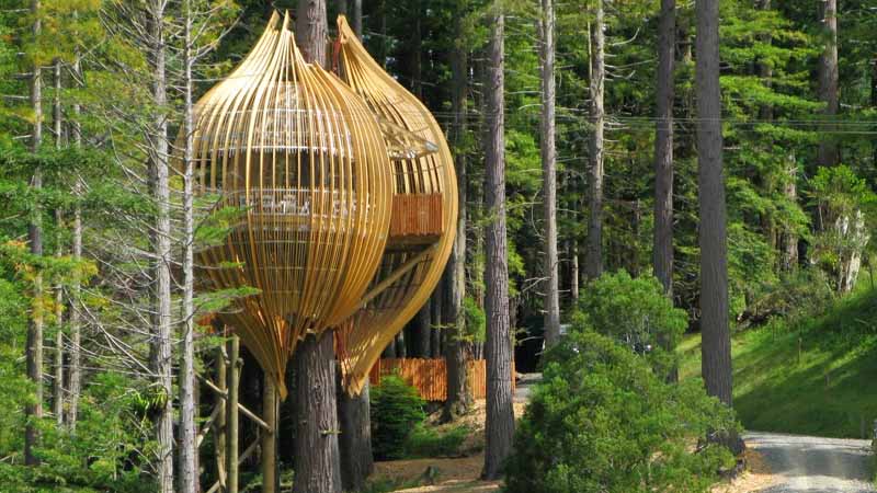 Tree Houses Around The World