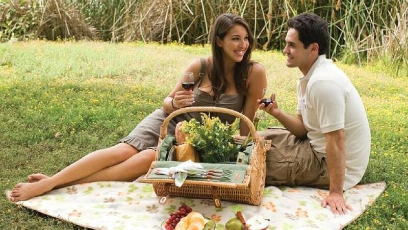 Date ideas to go to picnic