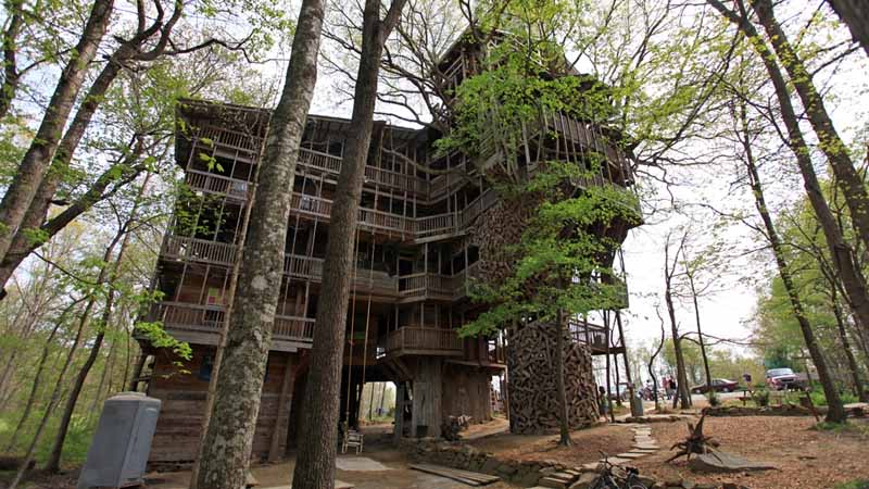 Tree Houses Around The World