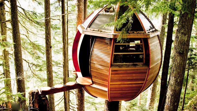 Tree Houses Around The World