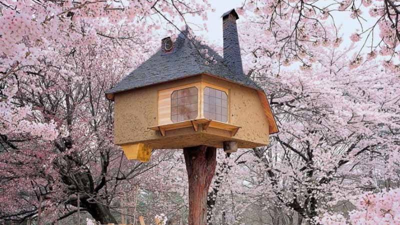 Tree Houses Around The World