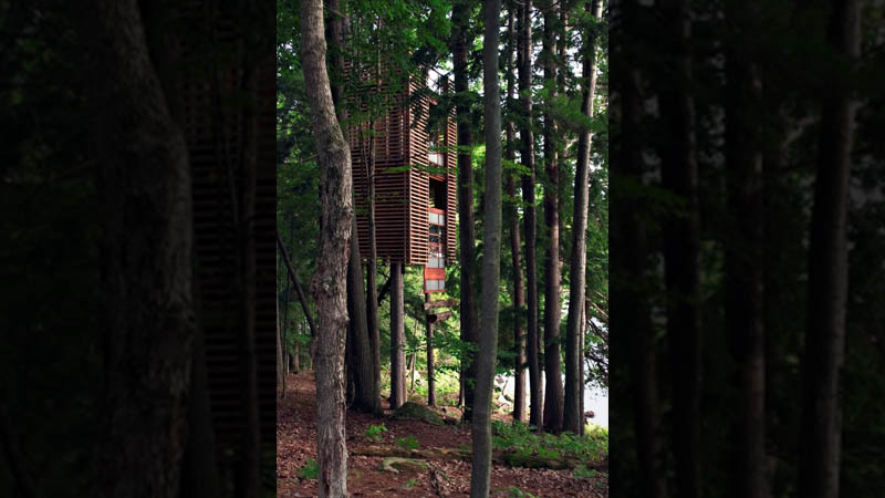 Tree Houses Around The World