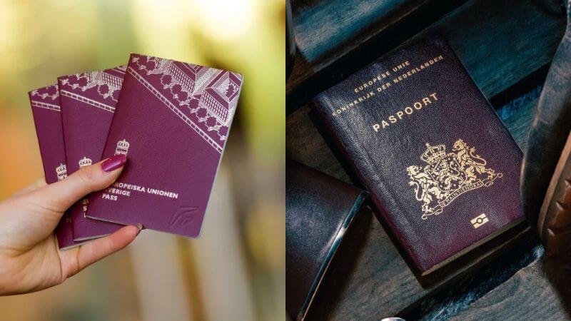 Netherlands and Sweden Passport