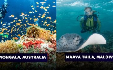 Best Scuba Diving Places In The World