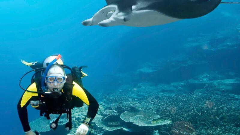 Scuba Diving Manta Ray Night Dive, Hawaii