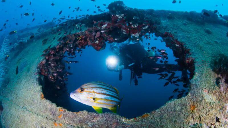 Yongala, Great Barrier Reef, Australia