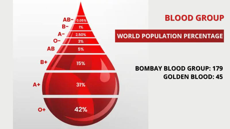 Blood Group World Population Percentage