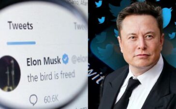 Twitter Blue Tick Elon Musk