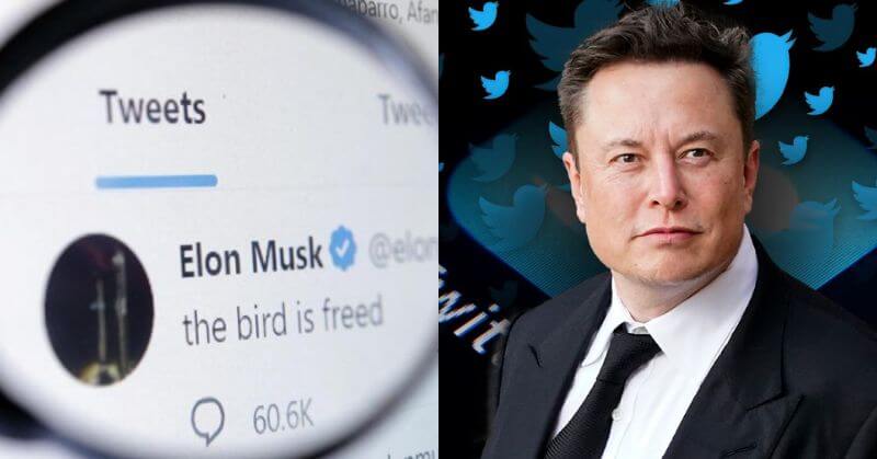 Twitter Blue Tick Elon Musk