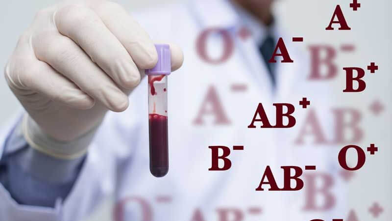 Type Blood Groups