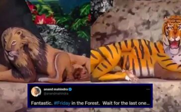 Anand Mahindra Women Creativity Video