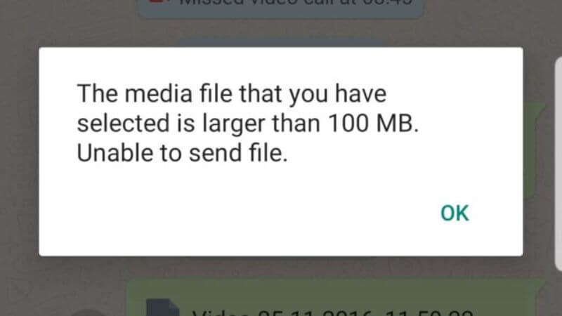 WhatsApp File Sharing