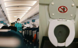 Flight Attendant Toilet During Flight
