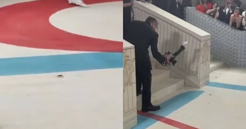 The Met Gala Cockroach