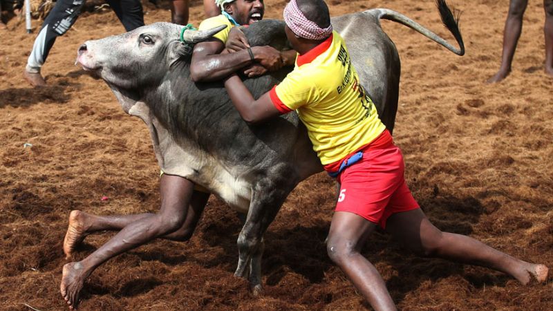 tamil nadu sport