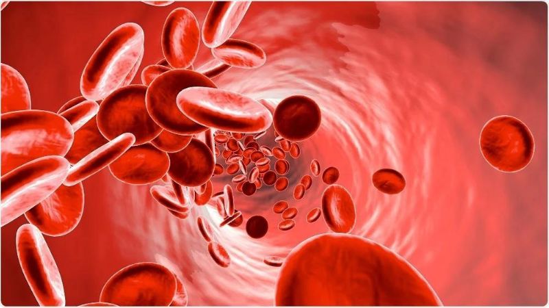 Anaemia And Red Blood Cell Count