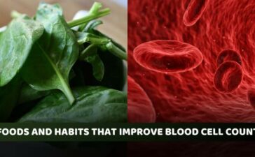 Food Blood Cell Count