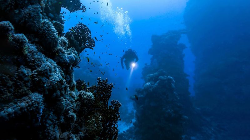 Scuba Diving In The Mariana Trench