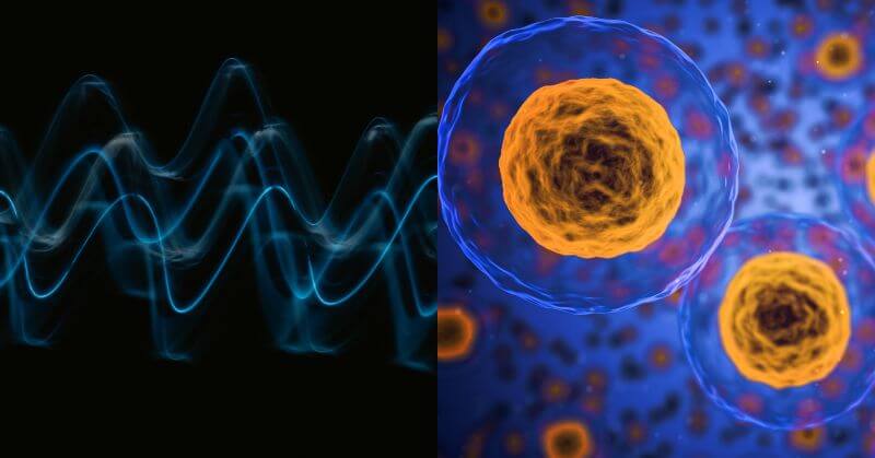 Sound Waves Kill Cancer Cell
