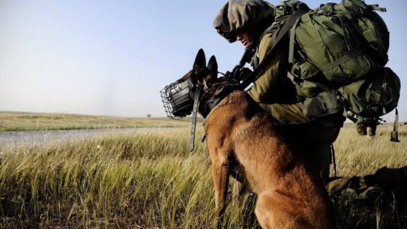 Israel's Military Canine Unit Oketz