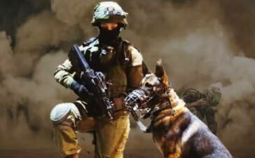 Oketz Military Dogs Israel