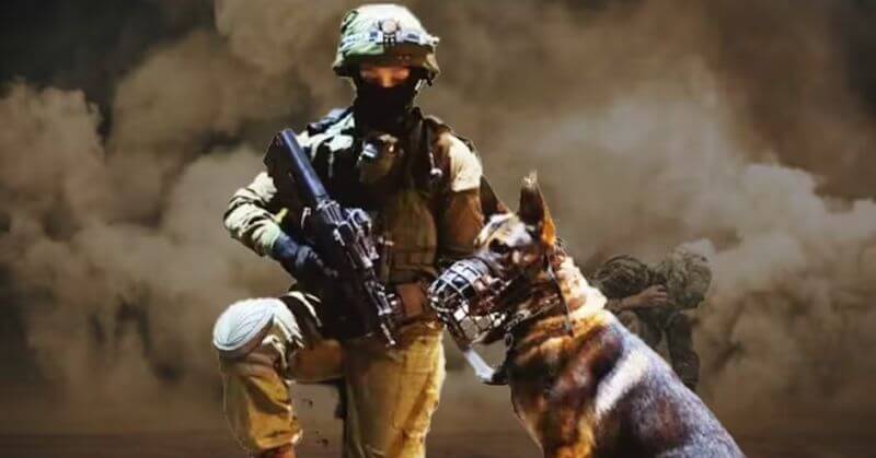 Oketz Military Dogs Israel