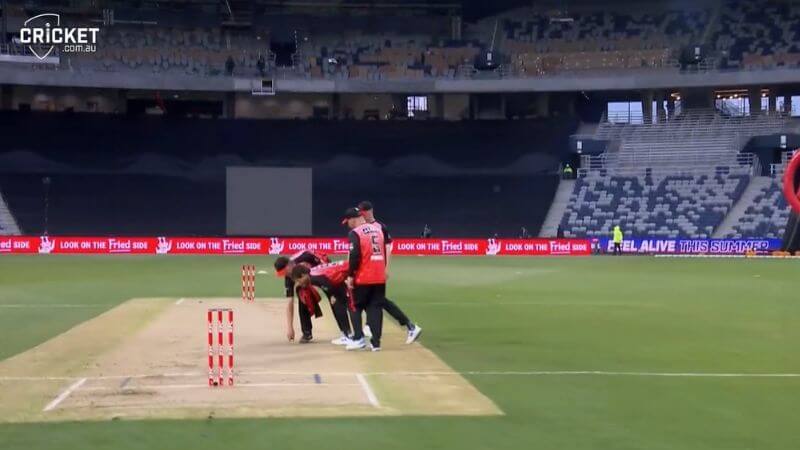 Big Bash League Geelong Pitch