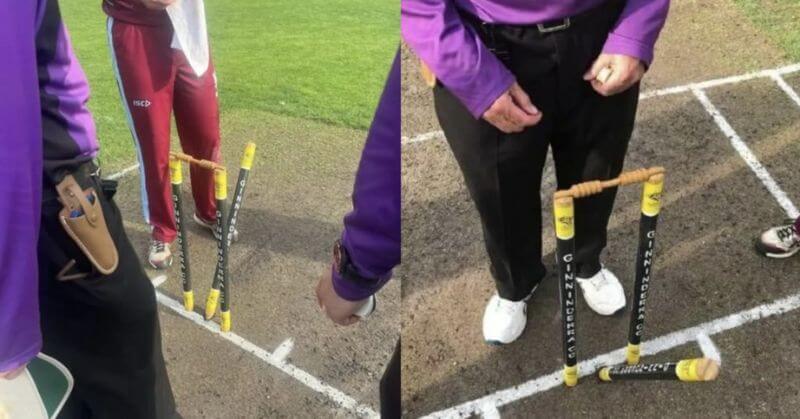 Cricket Matthew Bosustow Bowled But Not Out