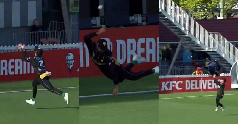 Greatest Catch Ever New Zealand Nick Kelly Troy Johnson