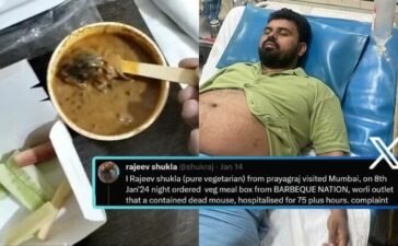 Rat In Barbeque Nation Food