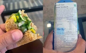 IndiGo Passenger Finds Screw In Spinach Corn Cheese Sandwich