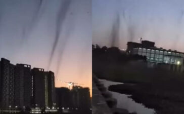 Mosquito Tornado Pune