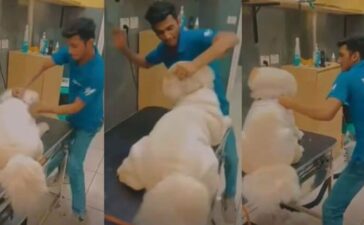 Vetic Pet Clinic Thane Viral Video