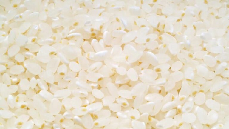 What Is Kinmemai Rice? Discover The World's Most Expensive Rinse-Free ...