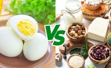 Top 20 Protein-Rich Vegetarian Foods