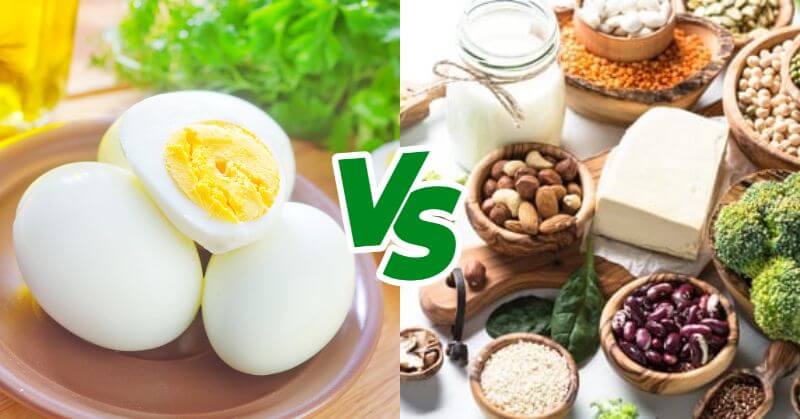 Top 20 Protein-Rich Vegetarian Foods