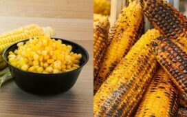 Sweet Corn Vs Desi Bhutta