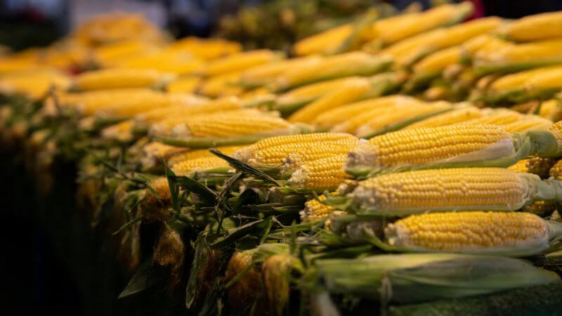 Sweet Corn