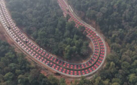 MP Red Road Wildlife Forest Highway