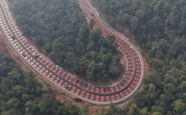 MP Red Road Wildlife Forest Highway