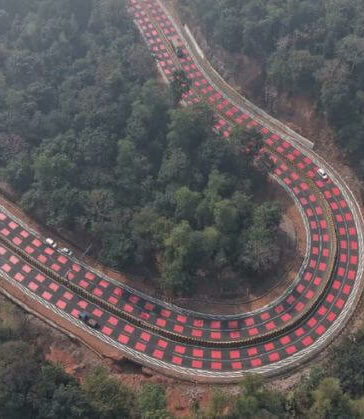 MP Red Road Wildlife Forest Highway