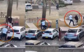 Viral Video Bondi Beach Civilian Heroic