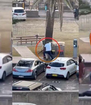 Viral Video Bondi Beach Civilian Heroic