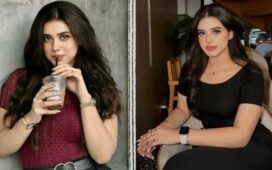 Alina Amir MMS Controversy