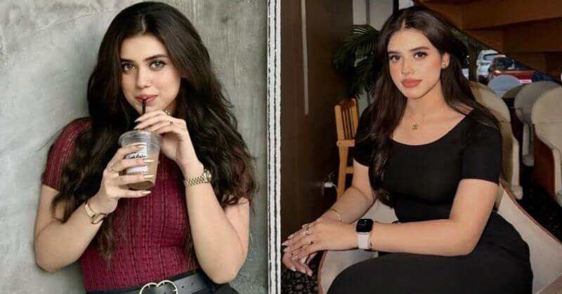 Alina Amir MMS Controversy