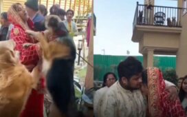 Pet Dogs Cry And Stop Bride Video