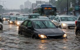 Manager Reply To Employee Stuck In Waterlogging Viral